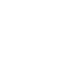 Application for Pilot